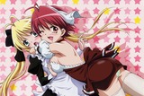 koharubiyori-0[1]