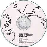 FLYNN & FLORA / BRISTOL BY MOONLIGHT sampler