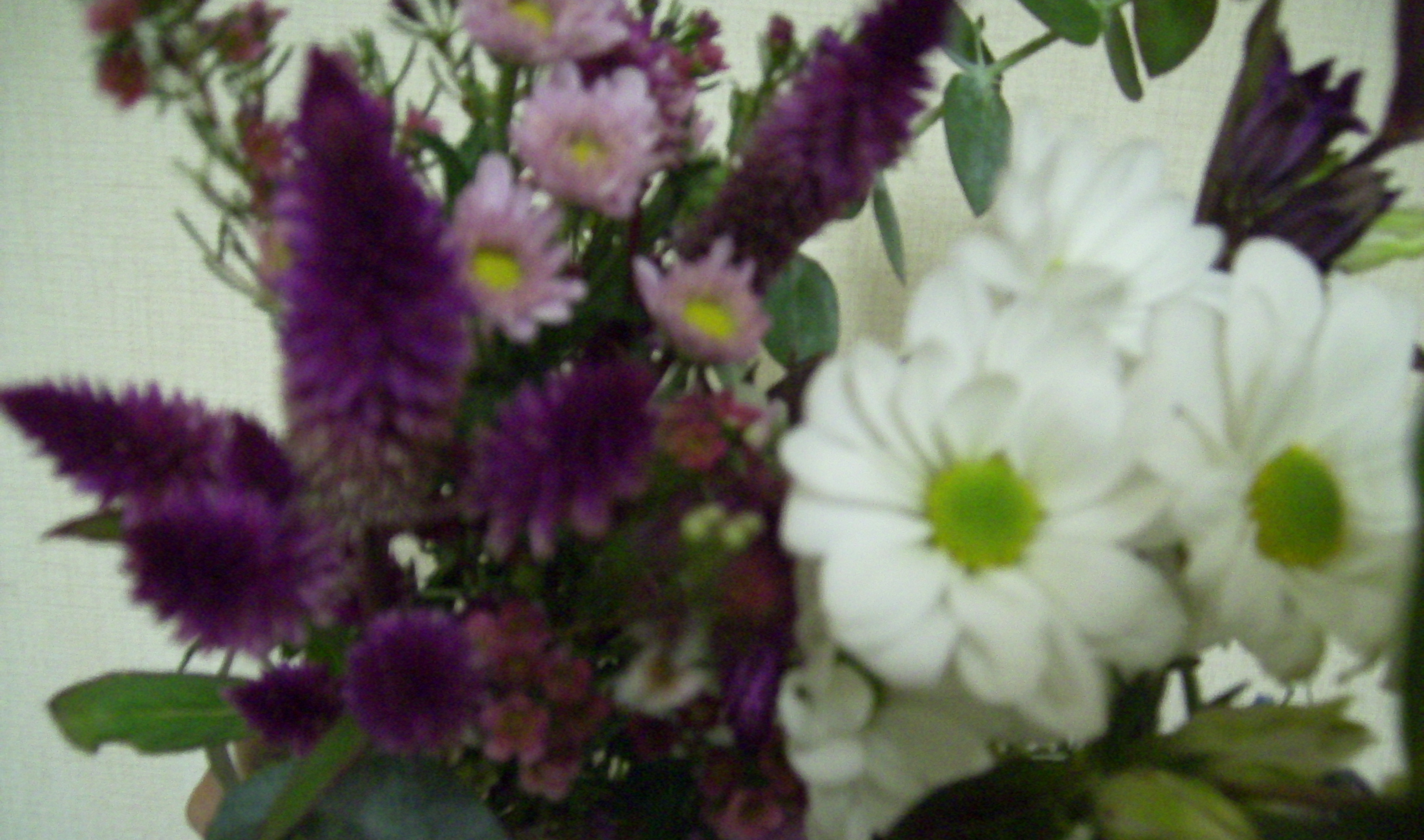 FLOWERS