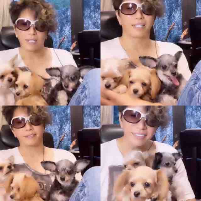 4 26イチナナライブレポ Gacktファンブログ Angelswindow 4 26イチナナライブレポ Gacktファンブログ Angelswindow