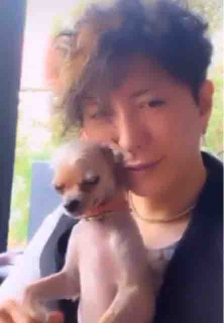 3月日のイチナナlive Gacktファンブログ Angelswindow 3月日のイチナナlive Gacktファンブログ Angelswindow