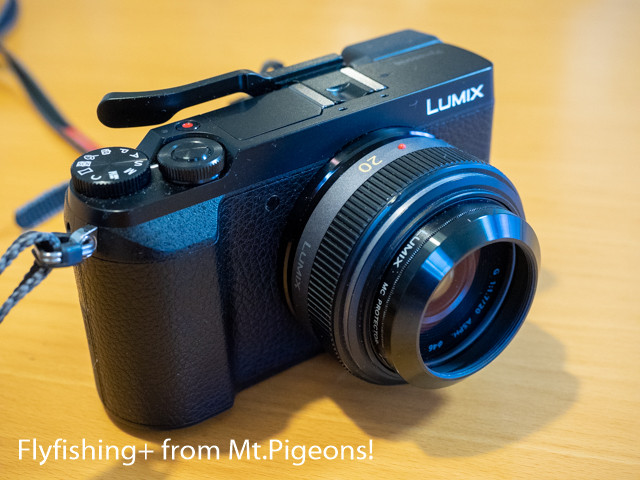 ルミックス G 20mm/F1.7 ASPH. H-H020 フード付き