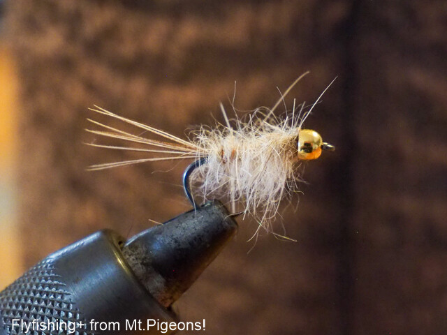 Episode1770 苦手なフライタイイング Flyfishing From Mt Pigeons Episode1770 苦手なフライタイイング Flyfishing From Mt Pigeons