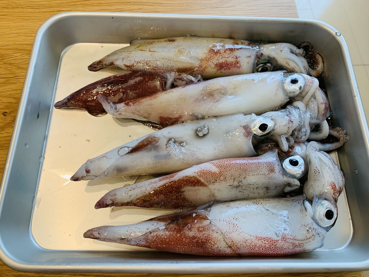 No Fishing No Life No Fishing No Life