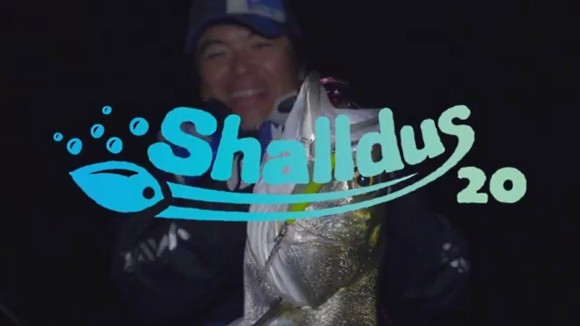 シャルダス20 Shalldus20 シーバス 村岡昌憲 BlueBlue
