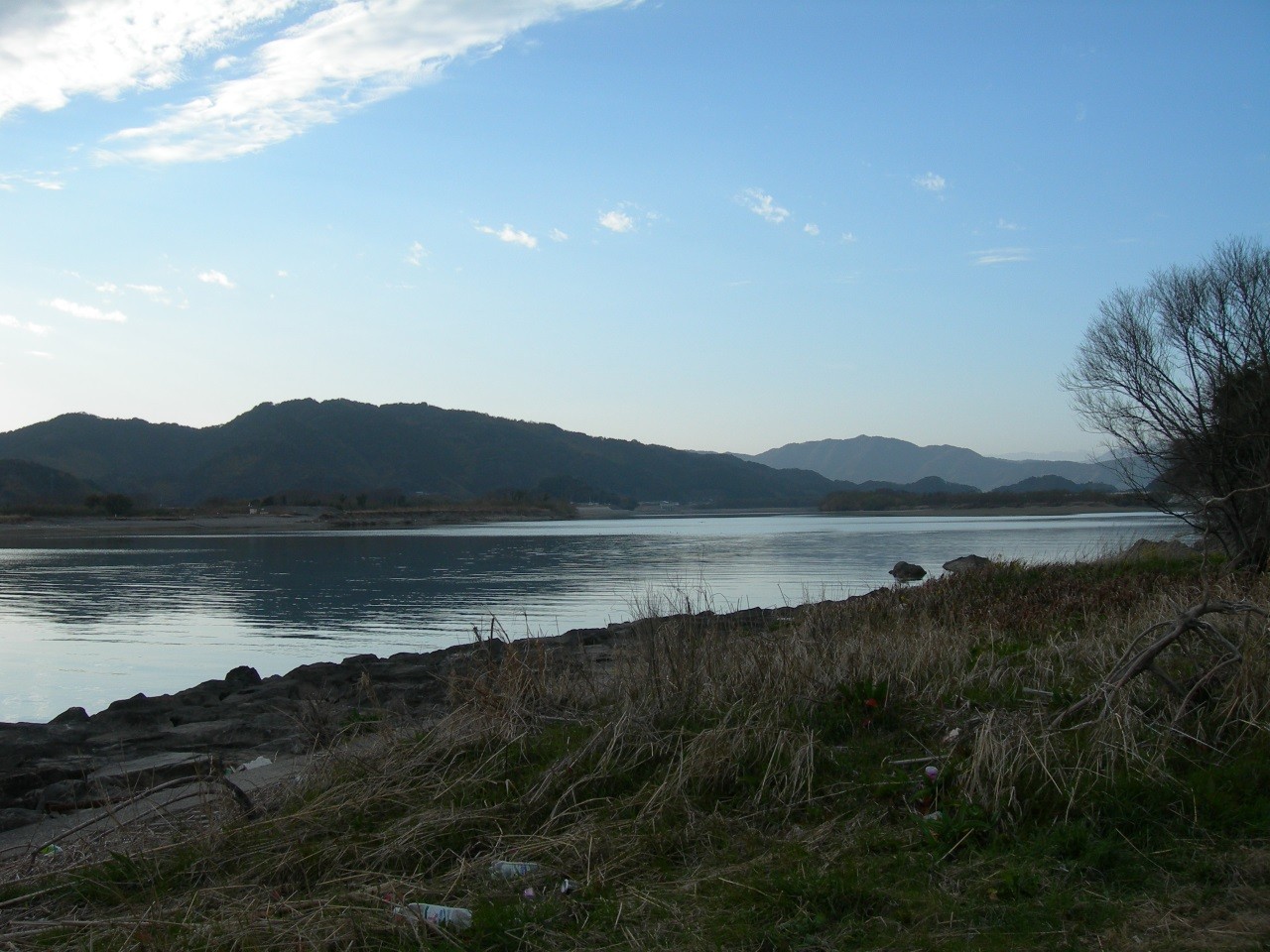15年02月23日 仁淀川河口 春野漁港 海辺の狩人