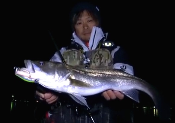 大野ゆうき シーバス 遠征 兵庫 岡山