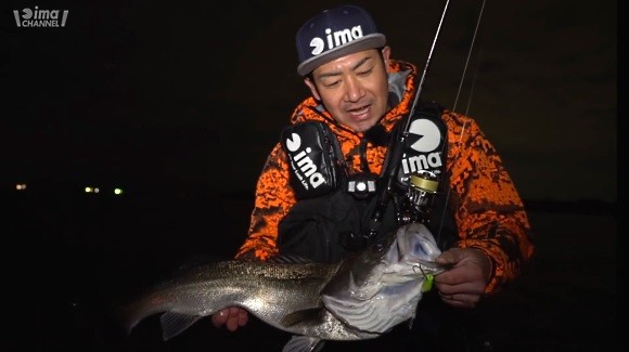 シーバス 川上靖雄 ima yoichi