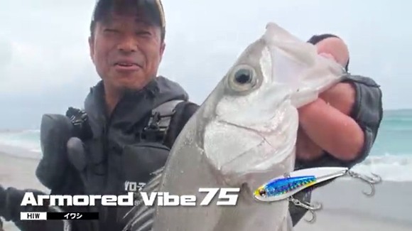 シーバス 松岡豪之 新島
