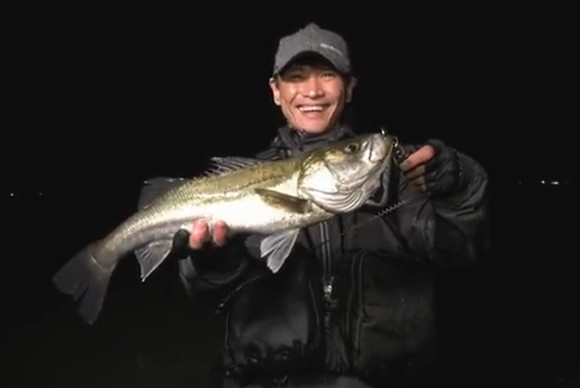 シーバス 釣り サカナクション 山口一郎