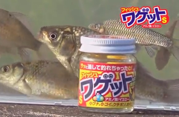 マルキュー ワゲット エサ釣り