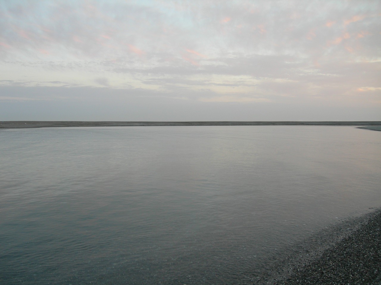 15年02月23日 仁淀川河口 春野漁港 海辺の狩人