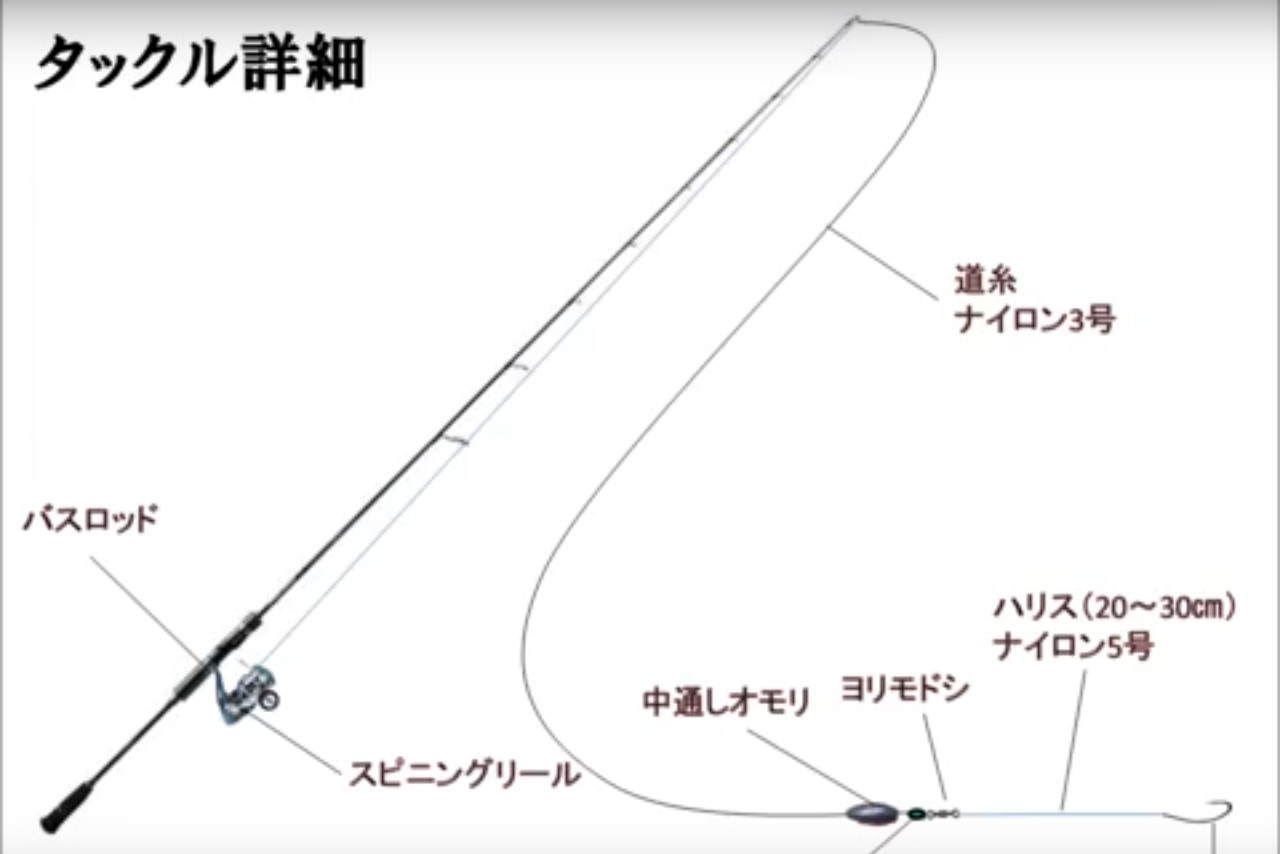 高級食材 これからの季節に爆釣の予感 土用の丑の日に向けていまから準備 食べて美味しいうなぎを釣ろう 海辺の狩人