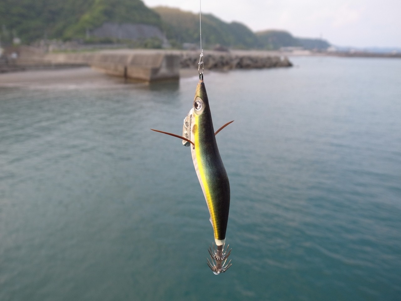 エギング 15年04月27日 春野漁港へアオリイカ狙いで釣行しました Yamashita エギ王kブログモニター 海辺の狩人