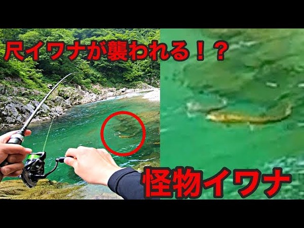 衝撃映像 尺イワナ 化物 サンメン少年団(SMS)