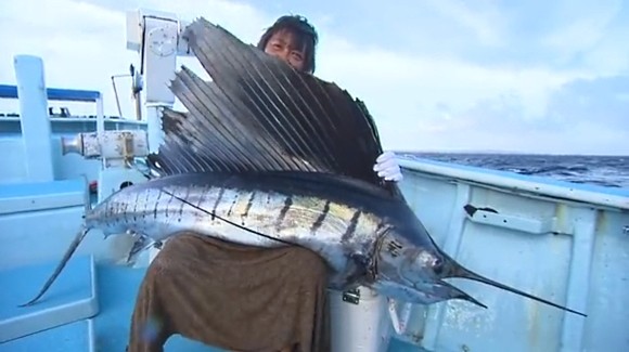 バショウカジキ 高橋哲也 SHIMANO
