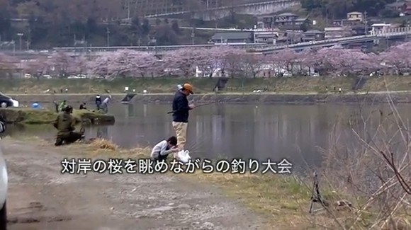 健啖隊 ニジマス釣り大会 桜