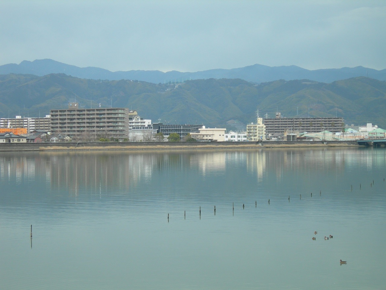 高知県屈指のシーバスポイント 国分川 青柳橋 周辺を視察しました 海辺の狩人