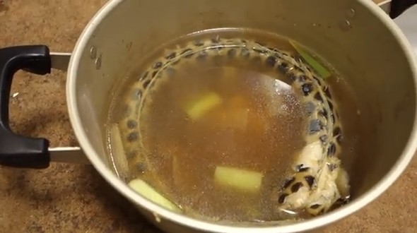 海ヘビ実食 グロテスクなゴイシウミヘビを敢えて食ってみた 見た目ヤバいが果たしてお味の方は 海辺の狩人