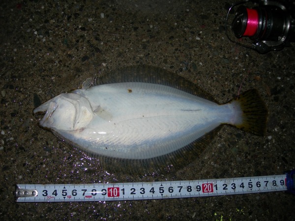 2015040203