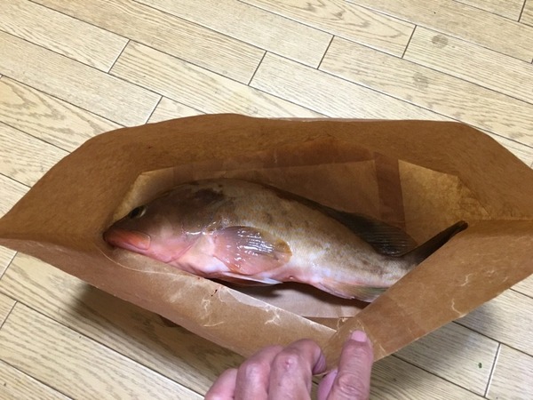 蝋引き紙袋 レオン 加来匠 Fish.in INX.label 釣った魚 保存
