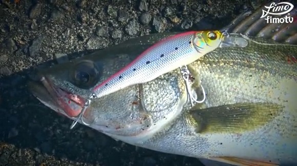 Megabass X-80SW Shallow シーバス バイト 水中映像