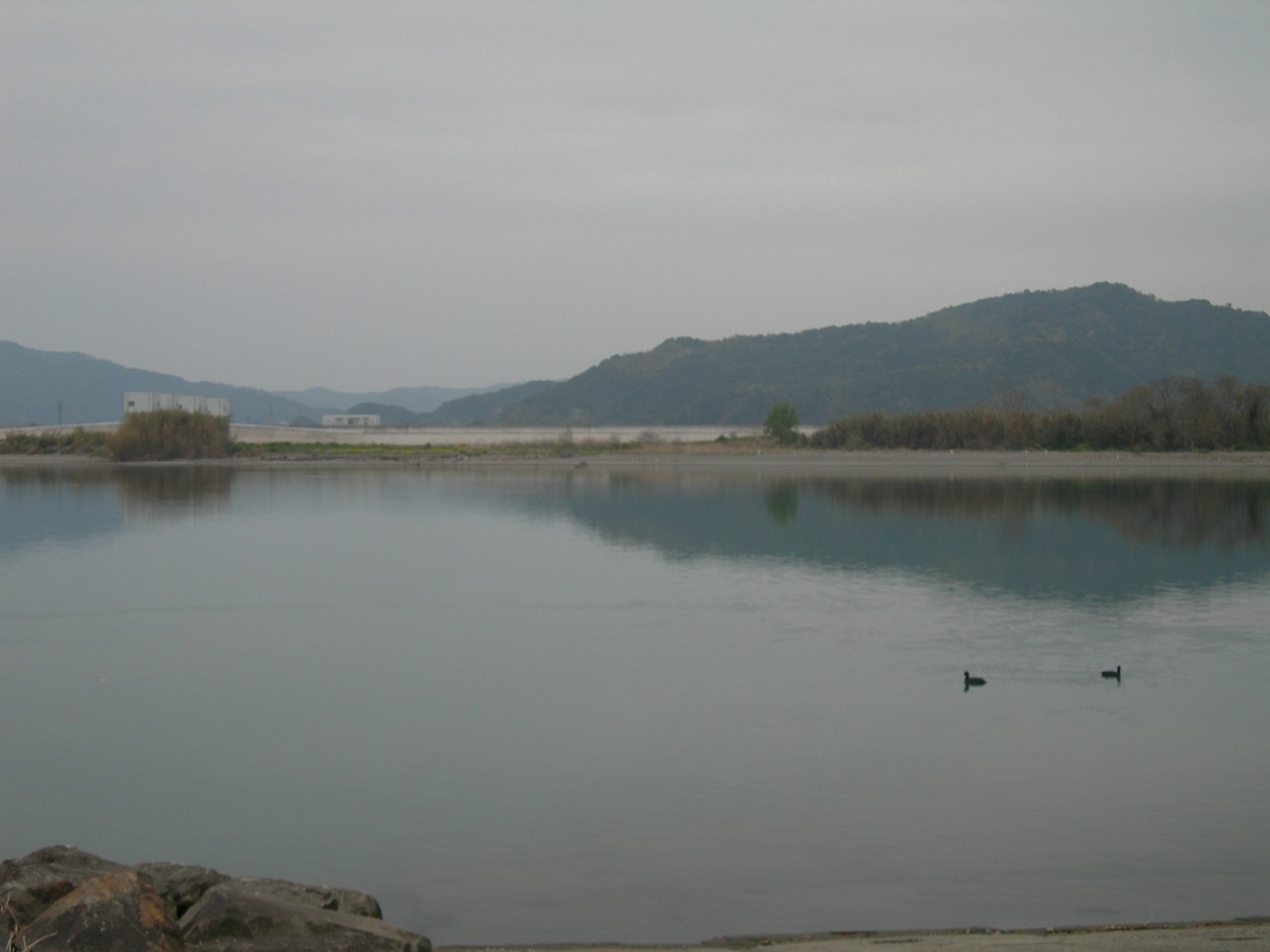 15年03月31日 仁淀川河口 仁ノ海岸 サーフ 春野漁港 海辺の狩人