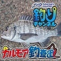 チヌ ニコ生 fimo 釣りチャンネル カルモア釣査団