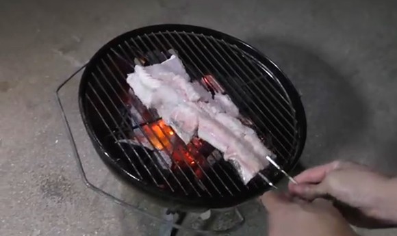 オオウナギ かば焼き うな重 炭火焼き