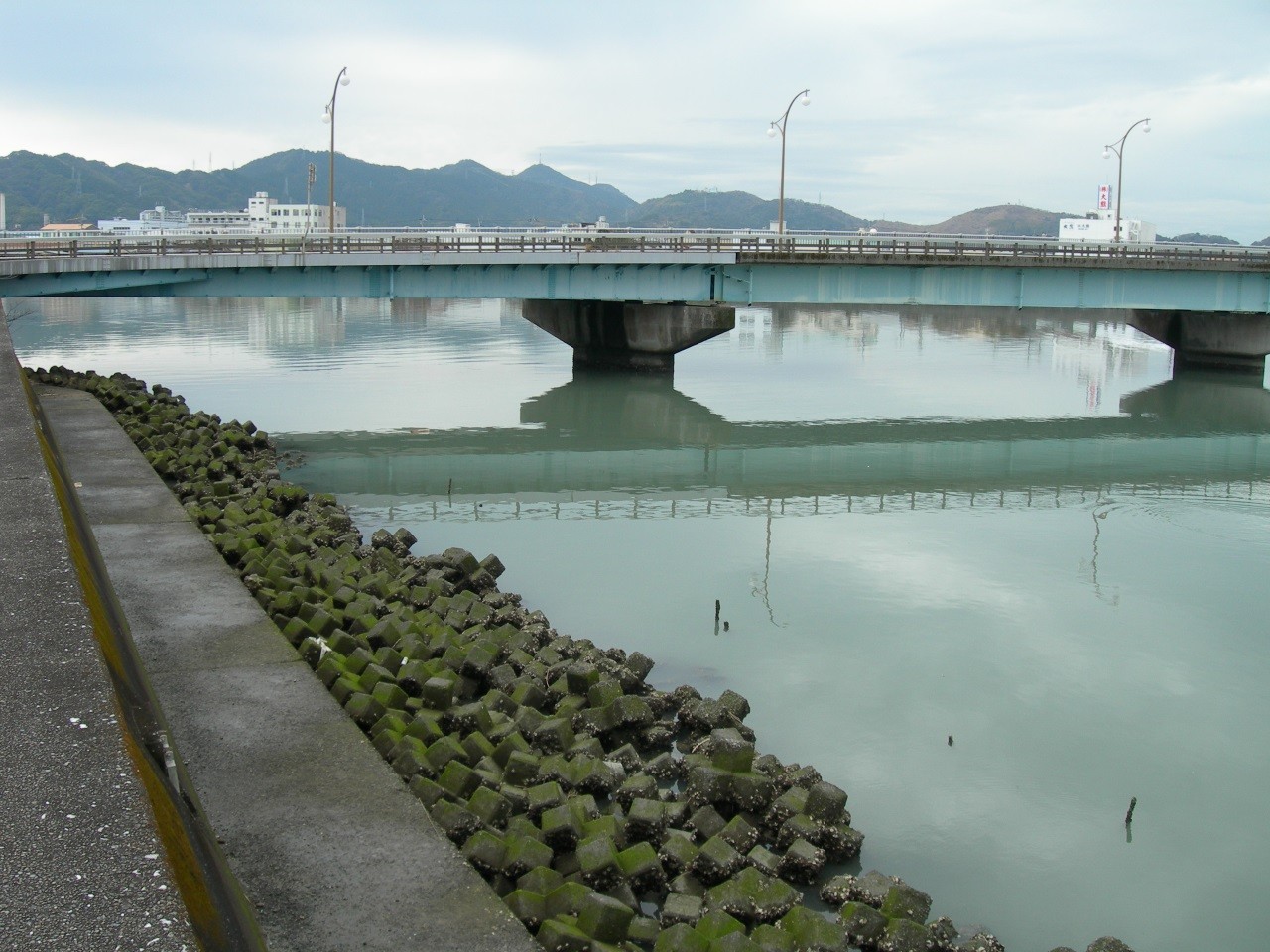 高知県屈指のシーバスポイント 国分川 青柳橋 周辺を視察しました 海辺の狩人