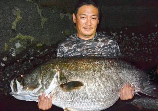 浦戸湾 アカメ 134cm 34kg （画像引用元：高知新聞、小池裕幸さん）