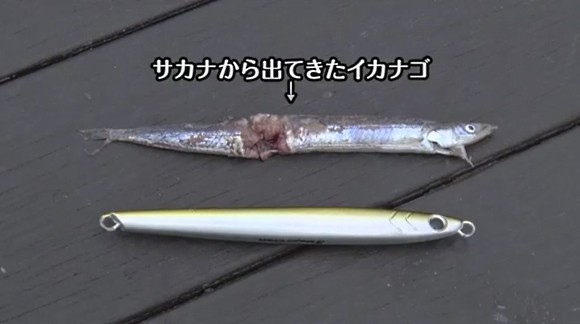 マッチザベイト イカナゴ ジグパラ