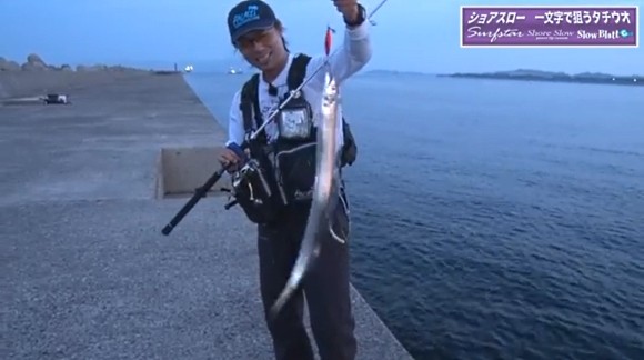 タチウオ 沼田純一 パームス