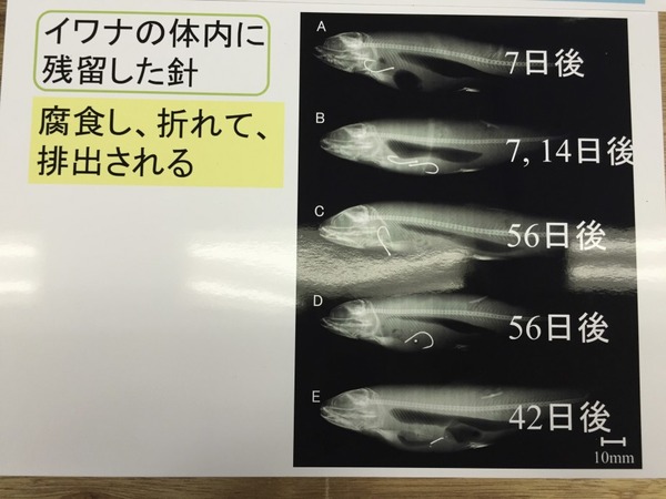 2015041503