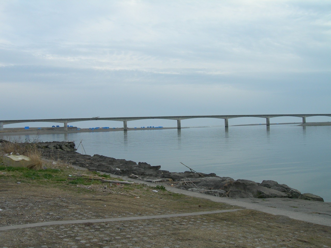 15年02月23日 仁淀川河口 春野漁港 海辺の狩人