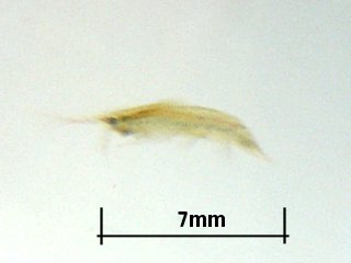 08982793.jpg