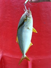 504fa699.jpg