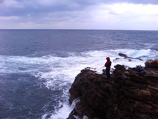 8b4463e3.jpg