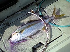 8b7684d5.jpg