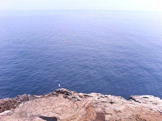8c2e65b6.jpg