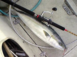 98f21b36.jpg