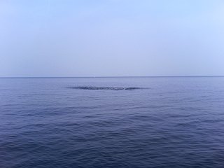 a6014d9d.jpg