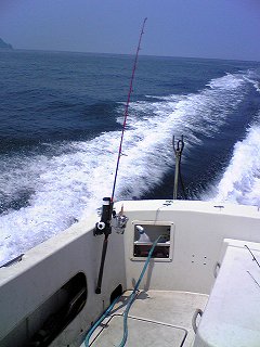 c42c23db.jpg