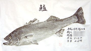 d556d209.jpg