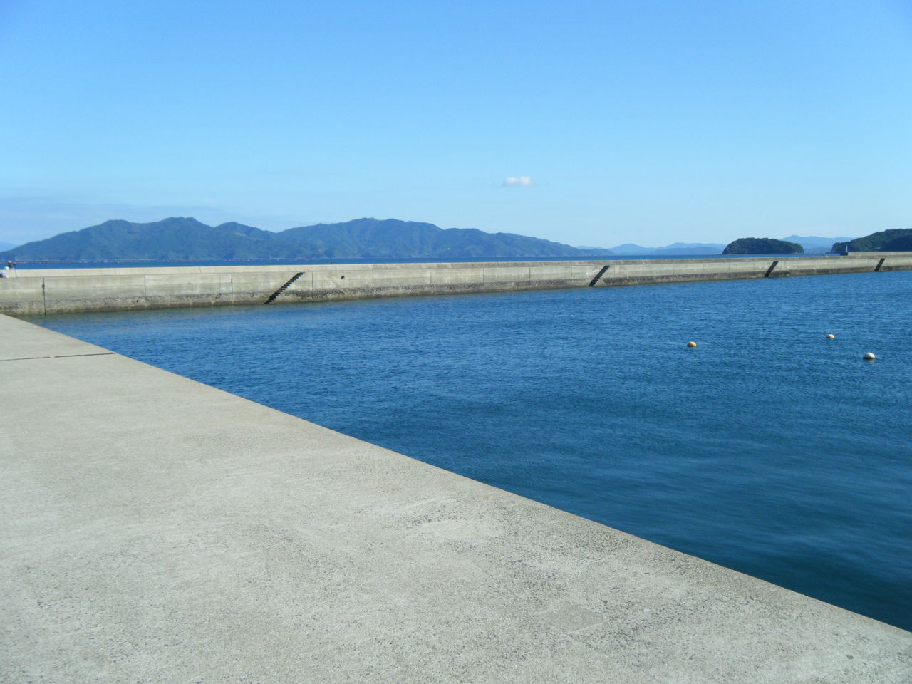 堤防からのタコ Kirinの釣り日誌 熊本 天草