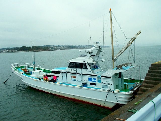 江ノ島 でいとう丸 カツオキハダ 2016年8月28日 それでも釣りが好き