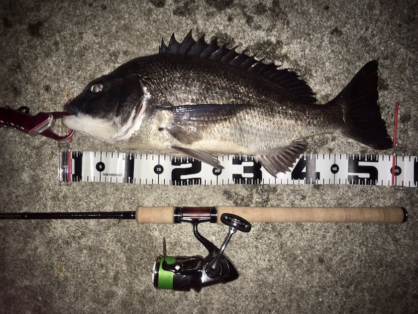 レビューで送料無料 シマノ カーディフモンスターリミテッド dp93ml 船釣り Marcogroupinc Com レビューで送料無料 シマノ カーディフモンスターリミテッド dp93ml 船釣り Marcogroupinc Com