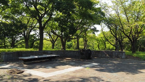 P8244542