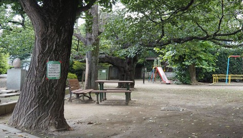 P8254628