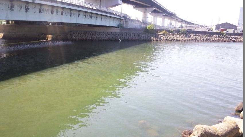 泉南 岬町の河口 漁港 釣然草